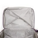 چمدان Delsey مدل Flight-Plus-S سایز کوچک