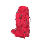 کوله پشتی کوهنوردی 50+10 لیتری Deuter مدل D150-50+10-L